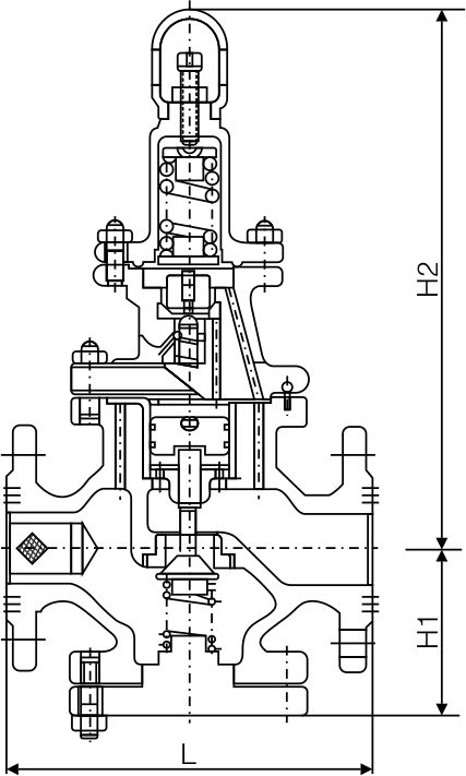 Y43 pressure reducing valve(图1)