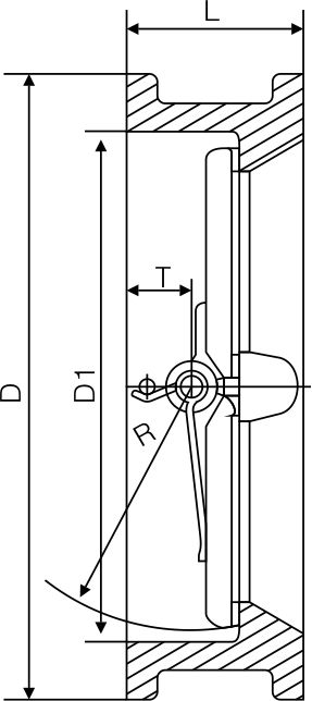 零泄漏止回阀(图1)