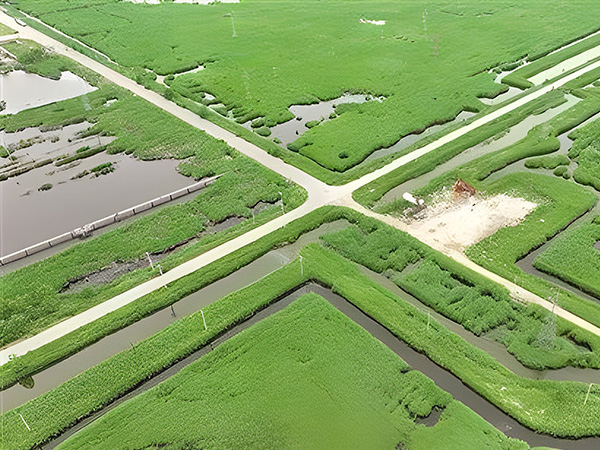 打造绿色低碳油田 做绿色发展的“顶梁柱”(图1) 打造绿色低碳油田 做绿色发展的“顶梁柱”(图1)